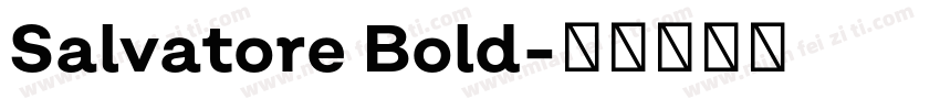 Salvatore Bold字体转换